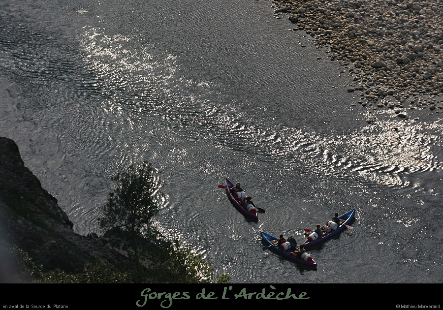 20080927_rapideavalsrcplatane3