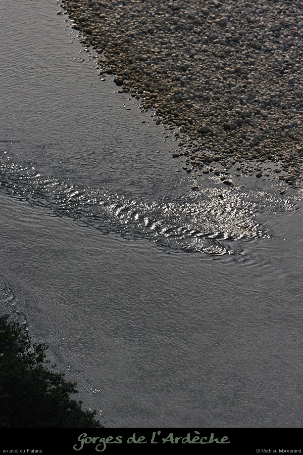 20080927_rapideavalsrcplatane5