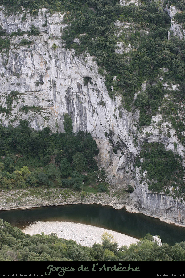 20081005_falaiseplatane
