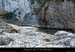20050102_platane2
