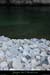 20050102_platane4