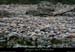 20061203_platane9