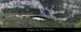 20081005_avalplatane