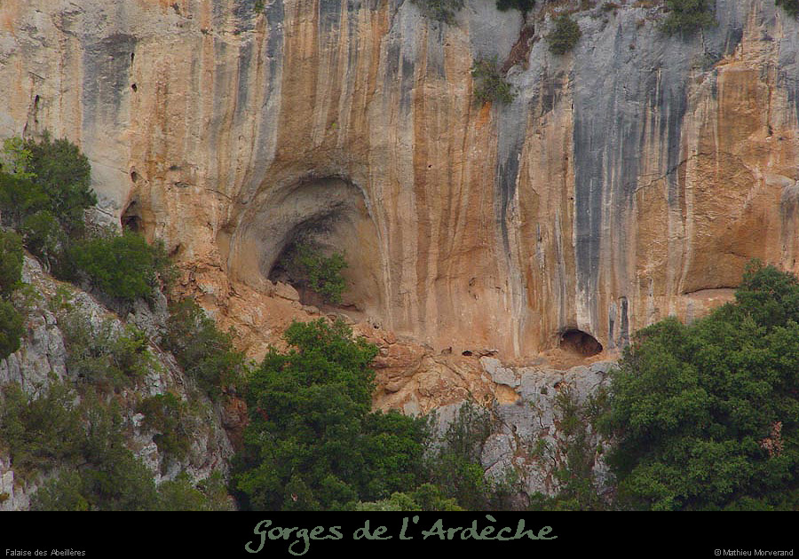 20020824_abeilleres