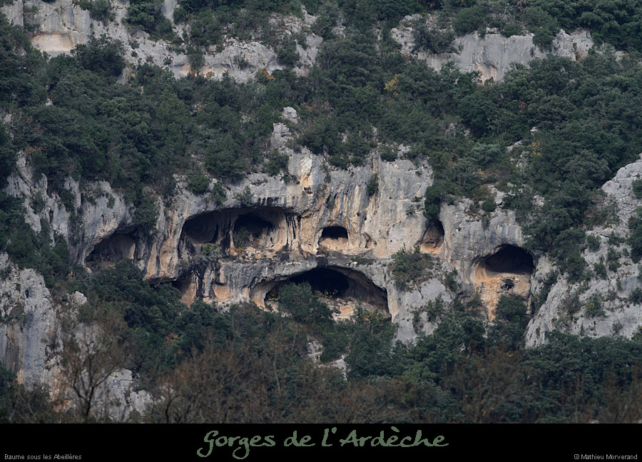 20111112_baumes_enam_abeilleresrd