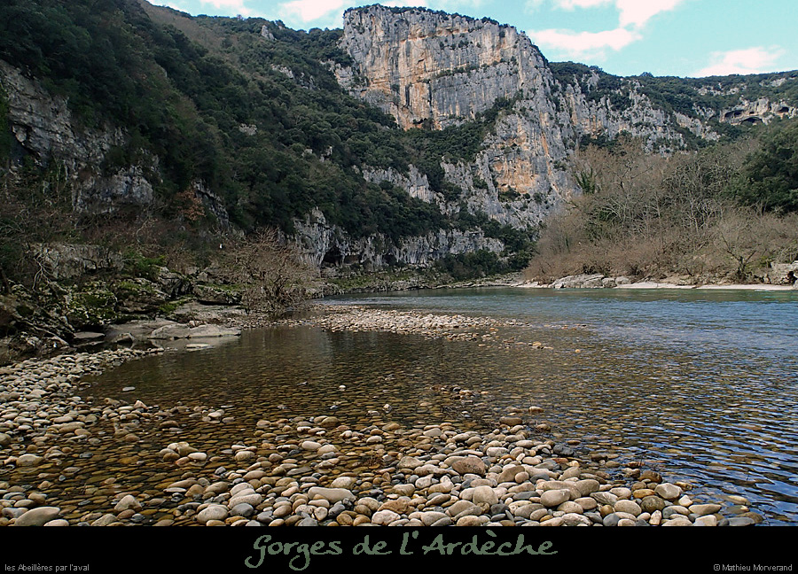 20140222_abeilleresparavdepuisrd1
