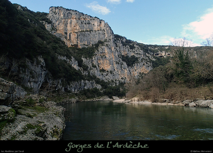 20140222_abeilleresparavdepuisrd4