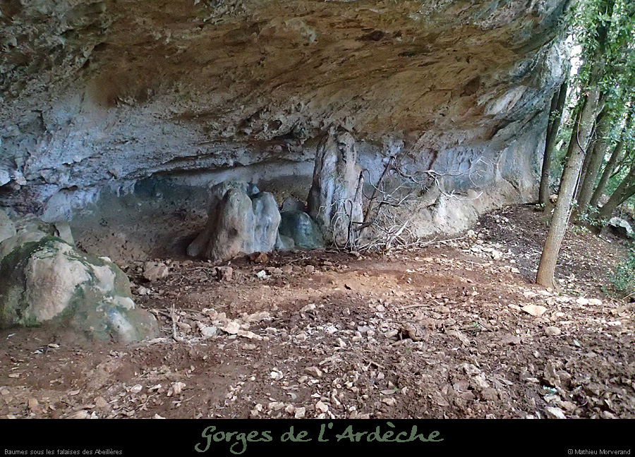 20140222_baumesssfalaisesabeilleres2