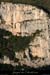 20081219_abeilleres