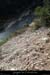 20140405_meandreavabeilleresdepuissentierchanet5