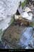 20140222_copainsdabord_source2