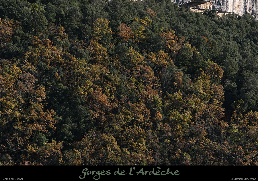20081116_chanetpentes
