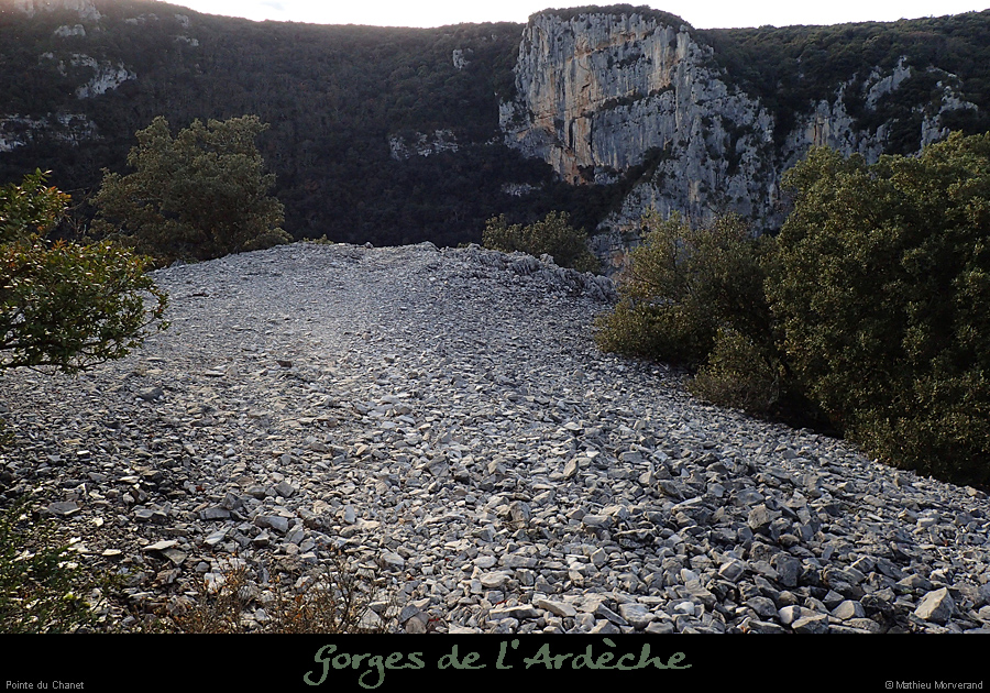20161224_pointechanet