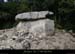 20140405_dolmenchanet2