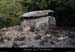 20161224_dolmenchanet2