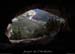 20140301_baumesfourromains17
