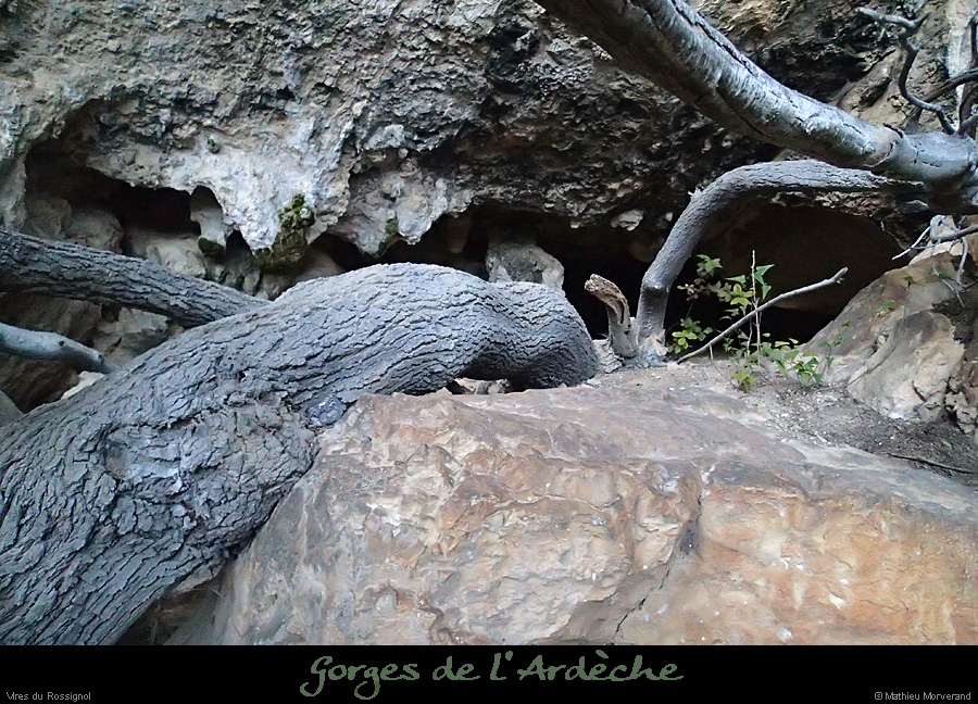 20140222_comberomains_baume6.
