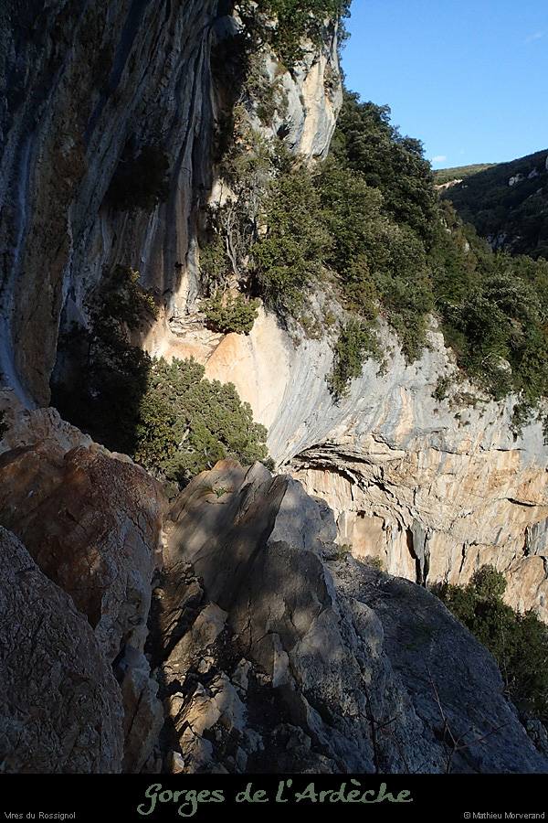 20140222_comberomains_vire01.