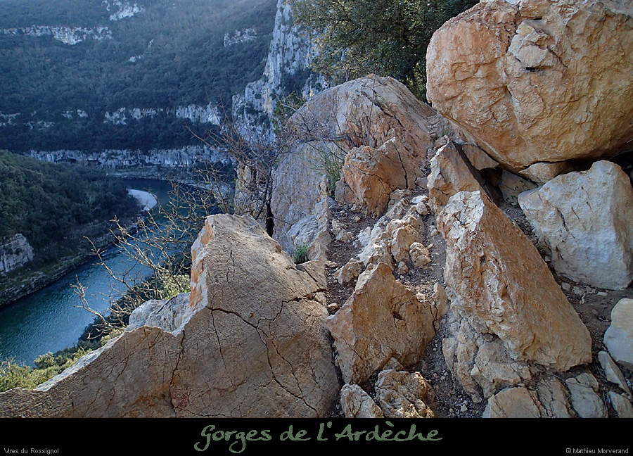 20140222_comberomains_vire02.