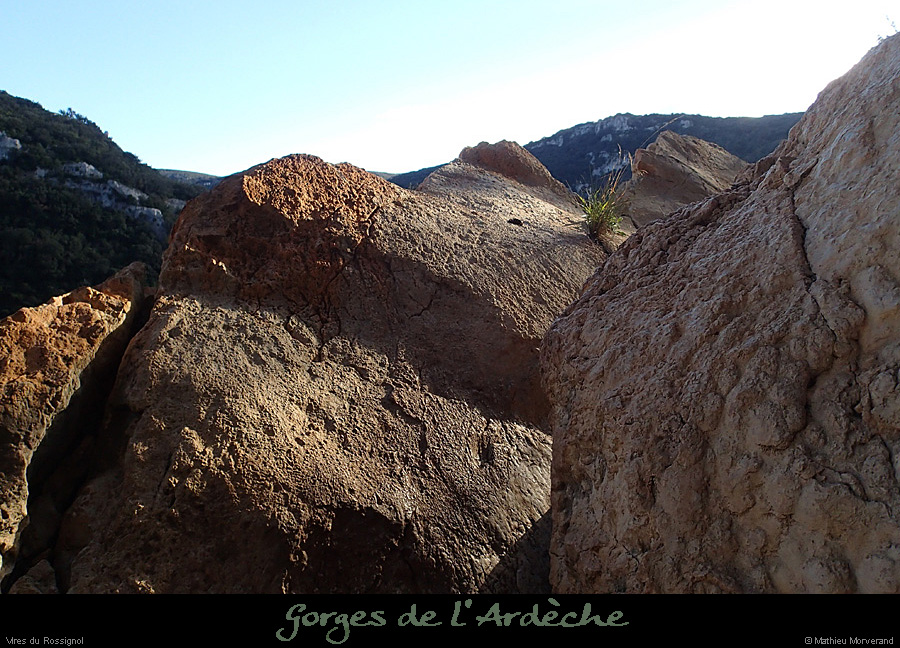 20140222_comberomains_vire03.