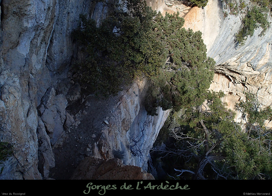 20140222_comberomains_vire05.