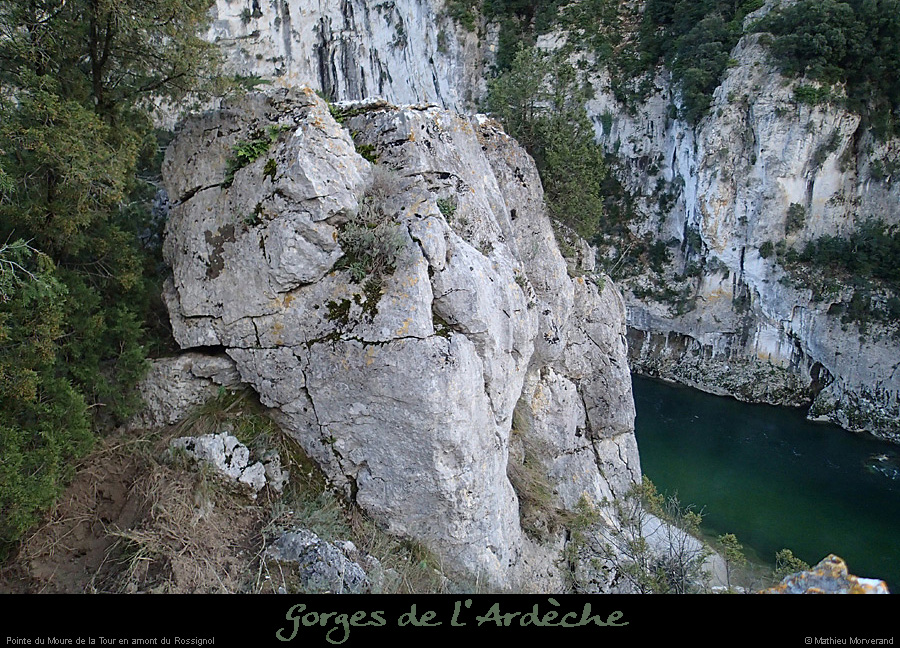 20140222_rossignol_amdepuisptecopainsdabord.