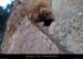 20140222_comberomains_baume3.