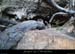 20140222_comberomains_baume6.