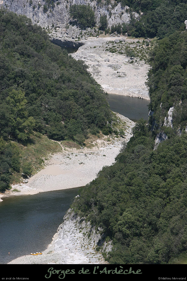 20070722_platane_aval2
