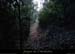 20140222_sentiermouredelatourest.