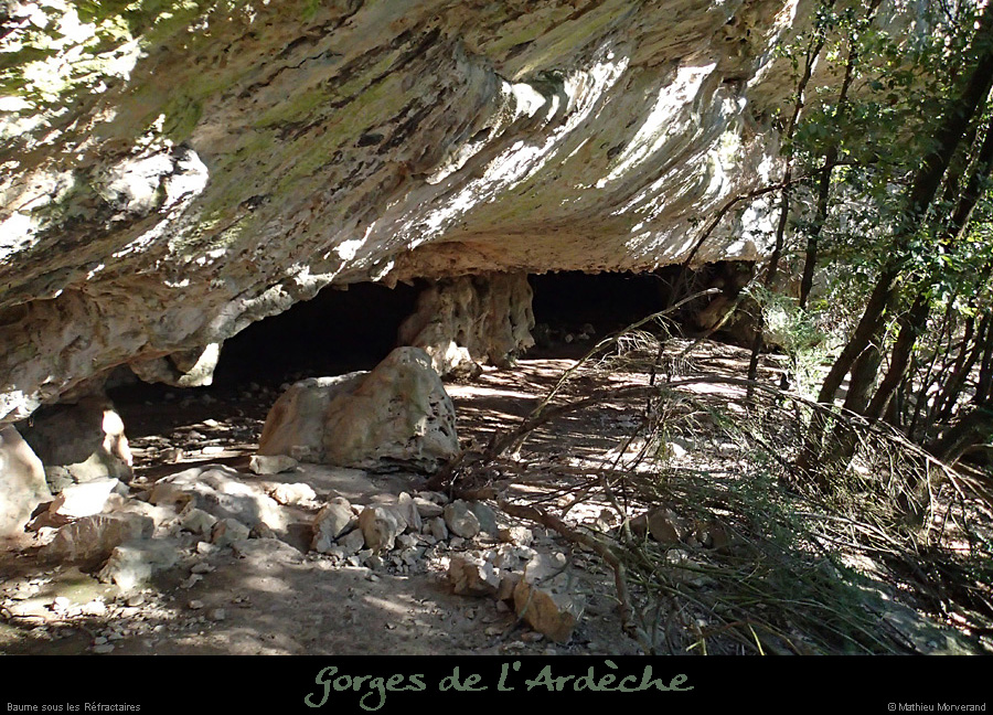20150406_baumessrefractaires1
