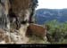 20140405_grdebaumedesrefractaires_mur2