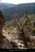 20140405_grdebaumedesrefractaires_sudarbre2