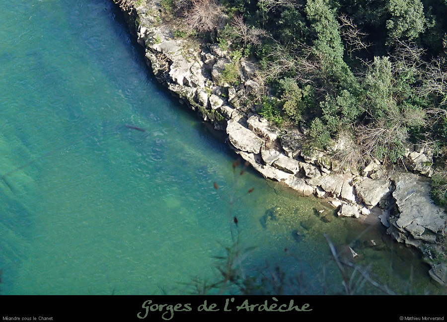20140222_gorgesamdepuisptessfalaisesabeilleres10