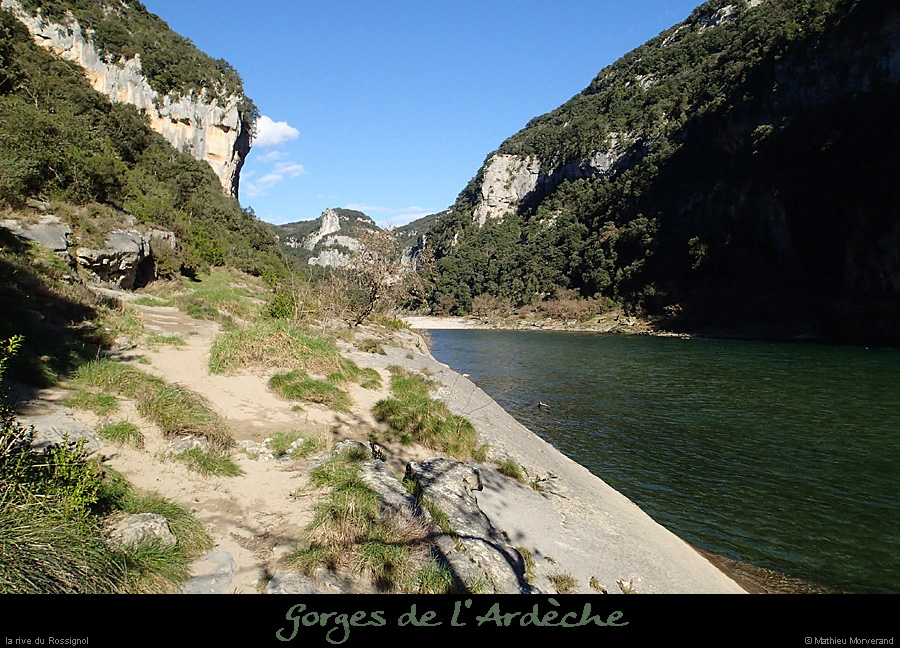 20140222_rossignol_rdamabeilleres2