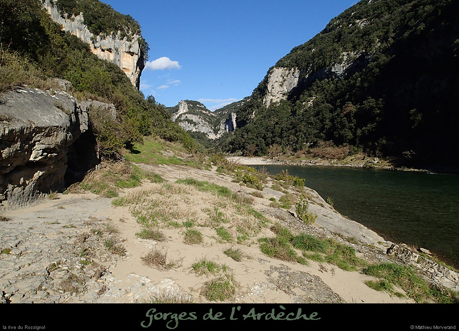20140222_rossignol_rdamabeilleres3