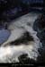 20140222_rossignol_amdepuisvire3.
