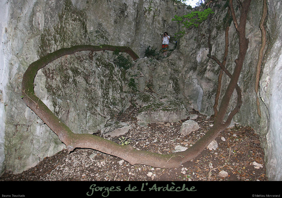 20070715_baumetrauchade1