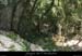 20070722_combe_cros_sentier2