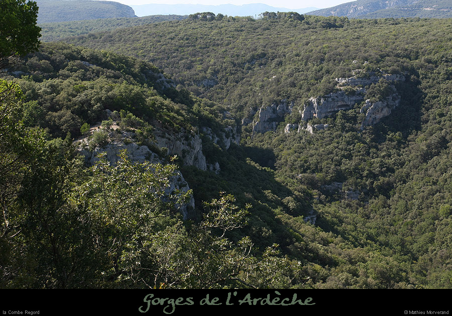 20070715_comberegord