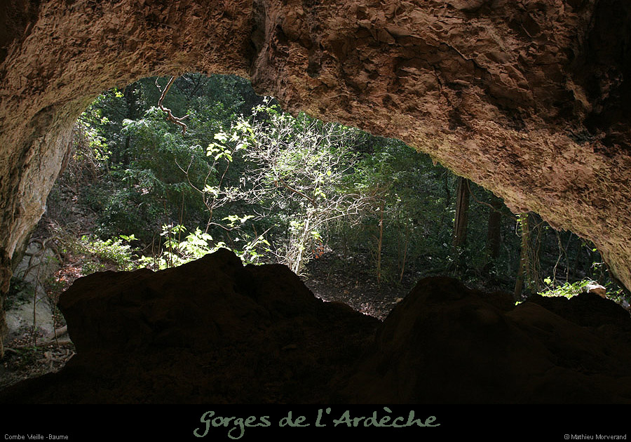 20070430_gournierderdbaume7