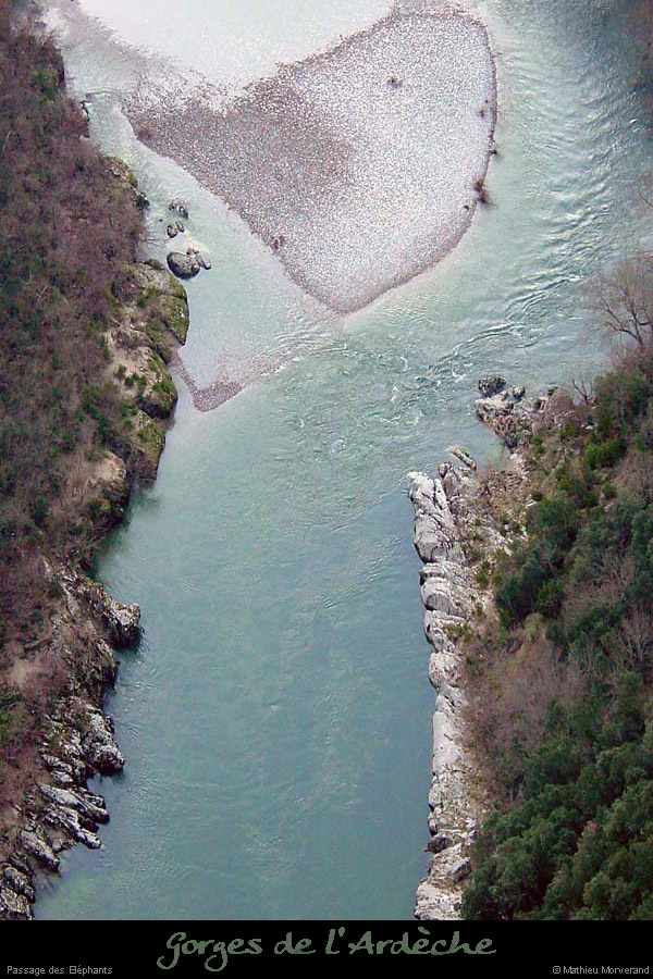 20001231_avaltoupine