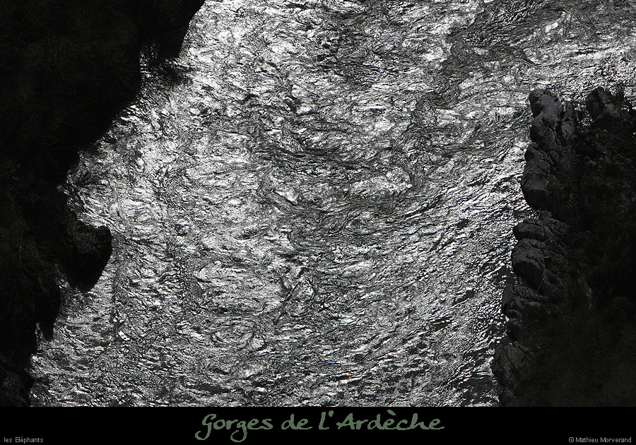 20100327_gournier_sortietoupineav03