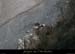 20111229_gournier_aval_elephant