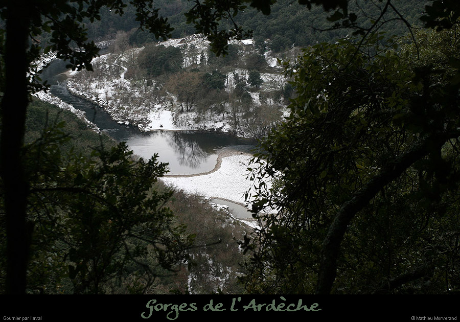20100113_gournierdeviressousrochas