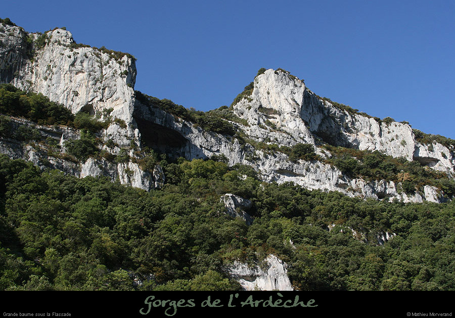 20090804_grdebaumedegournier1