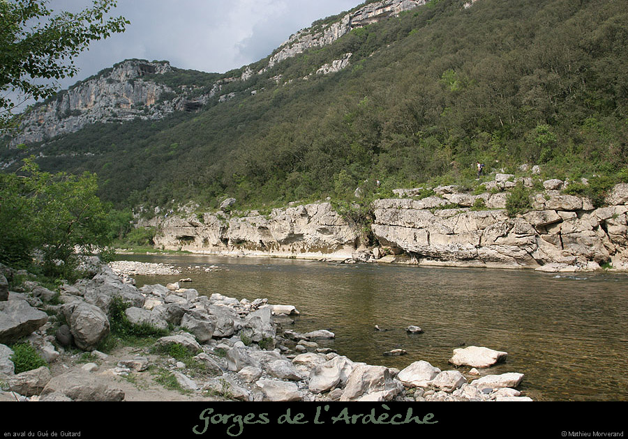 20070430_avguedeguitard