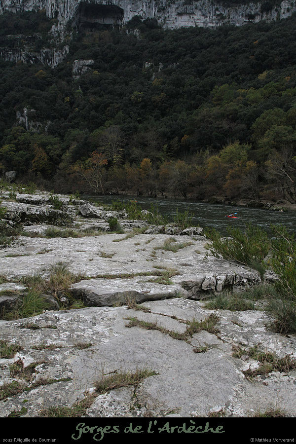 20111112_avguedeguitard3