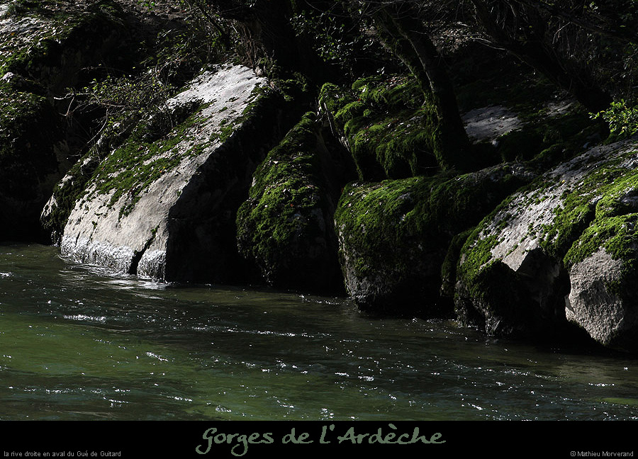 20131109_avalguedeguitardrd1