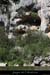 20070722_gueguitard_amriven3